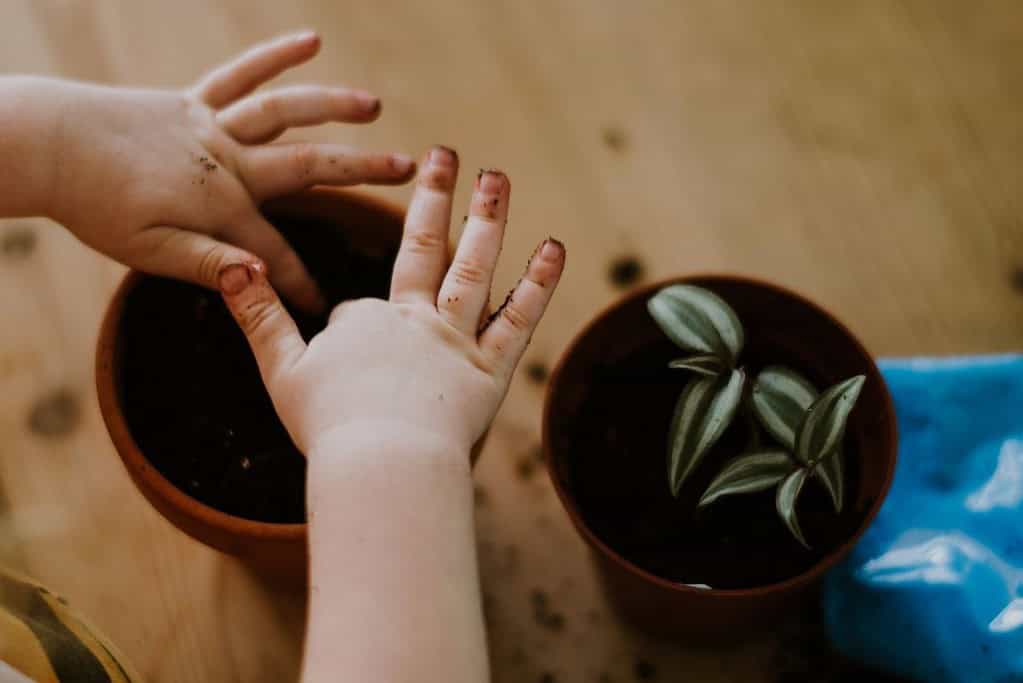 A child pressing seeds into potting soil in a terracotta flower pot.